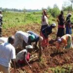 Sommet de Séville : « L’agriculture reste le maillon faible des investissements en Afrique »