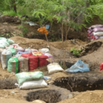 Démantèlement d’un site illégal à Kédougou