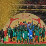 Mondial 2026 : deux amicaux en mars pour les Lions.