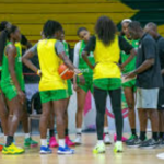 Basket : Cheikh Sarr dévoile les 13 Lionnes retenues pour le tournoi qualificatif au Mondial 2026