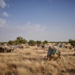 Mali : plus de 100 jihadistes libérés pour sécuriser les convois de carburant