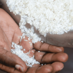 Riz local : les mesures gouvernementales peinent à changer les habitudes de consommation