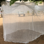 Paludisme : le Sénégal accélère vers l’élimination d’ici 2030