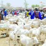 Tabaski : la fête prévue dans une quarantaine de jours au Sénégal.