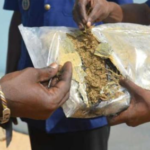 Trafic de drogue à Dakar : un boucher et un capitaine de pirogue arrêtés avec plus de 41 kg de chanvre indien