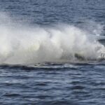Grèce : Athènes affirme que le drone naval retrouvé près de Leucade est ukrainien
