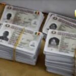 Élections : la DGE annonce la disponibilité des cartes d’électeur issues de la révision de 2025.
