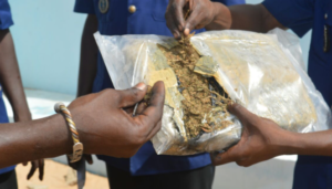 Joal : la gendarmerie intercepte 360 kg de chanvre indien et ouvre une enquête