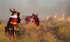 Espagne : un violent incendie en Andalousie fait au moins 12 morts, les recherches se poursuivent