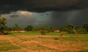 ANACIM : des « faux départs » de l’hivernage redoutés au centre du Sénégal