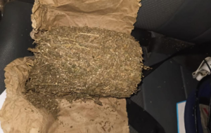 Kaolack : la gendarmerie saisit 6 kg de chanvre indien et interpelle un suspect à Darou Salam