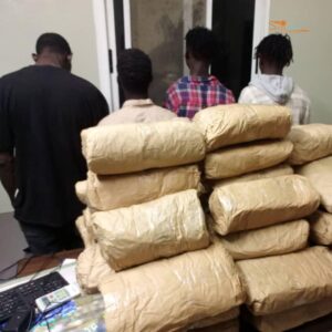 Kush : entre trafic et consommation, Dakar face à l’inquiétude.