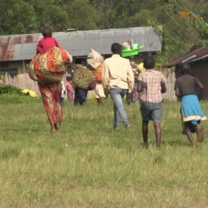 RDC : une cinquantaine d’agriculteurs enlevés par les ADF à Mambasa.