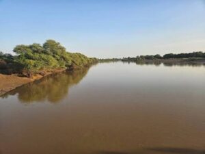 Fleuve Gambie : les niveaux d’eau en hausse dans plusieurs stations