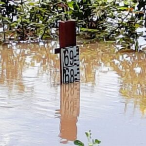 Fleuve Gambie : la montée des eaux inquiète dans la région de Kédougou.