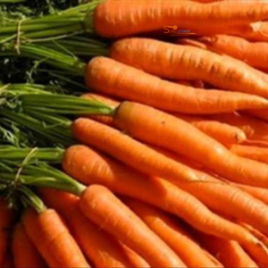 Sénégal : les importations de carottes reprennent face à la baisse des stocks et à la hausse des prix