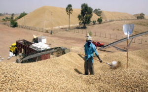 Commercialisation agricole : le chef de l’État demande d’accélérer les préparatifs