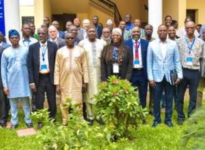 Désinformation en Afrique de l’Ouest : « West Africa Info Watch » veut renforcer la riposte régionale