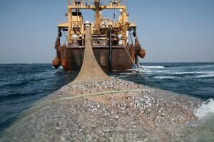 Licences de pêche : la commission d’enquête parlementaire lance ses auditions